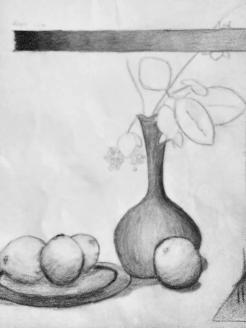 Fruit and vase still life. An early pencil study.