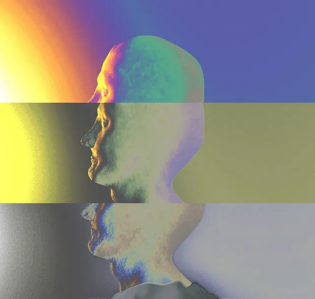 A profile rendered in three bands of contrasting color and light.